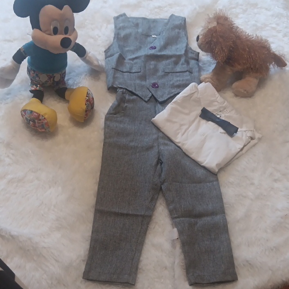 Gray Vest and Pants Set with Purple Buttons Size 2